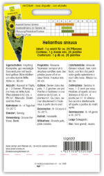 Helianthus 'Wahoo' Sonnenblume – Bild 2