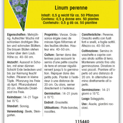 Linum perenne Mehrjähriger Lein
