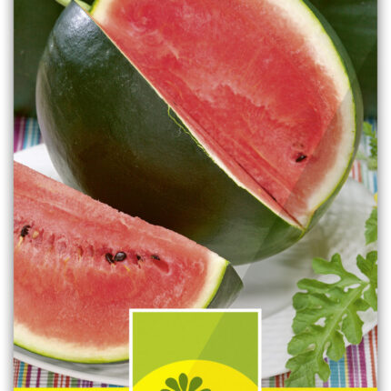 Wassermelone 'Sugarbaby' rotfleischig
