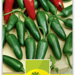 Jalapeno-Paprika F1 'Sierra Fuego'