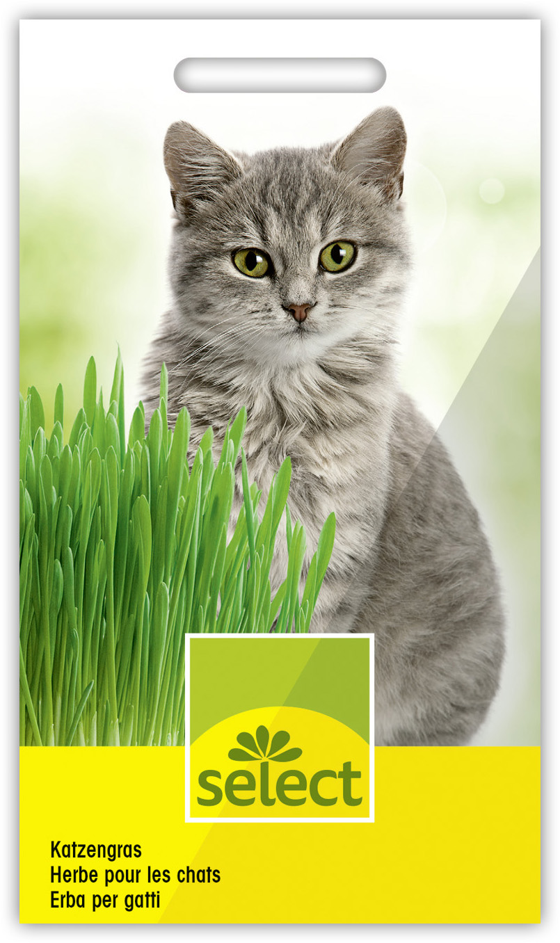 wy_4074_VS Katzengras – Bild 1