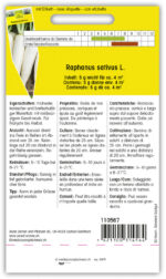 Rettich 'Rex' früh – Bild 2