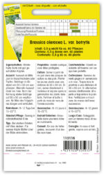 Blumenkohl 'Eskimo' winterhart – Bild 2
