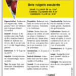 Rande 'Rote Kugel' Rote Rübe