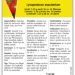 Tomate 'Marmande' Fleischtomate