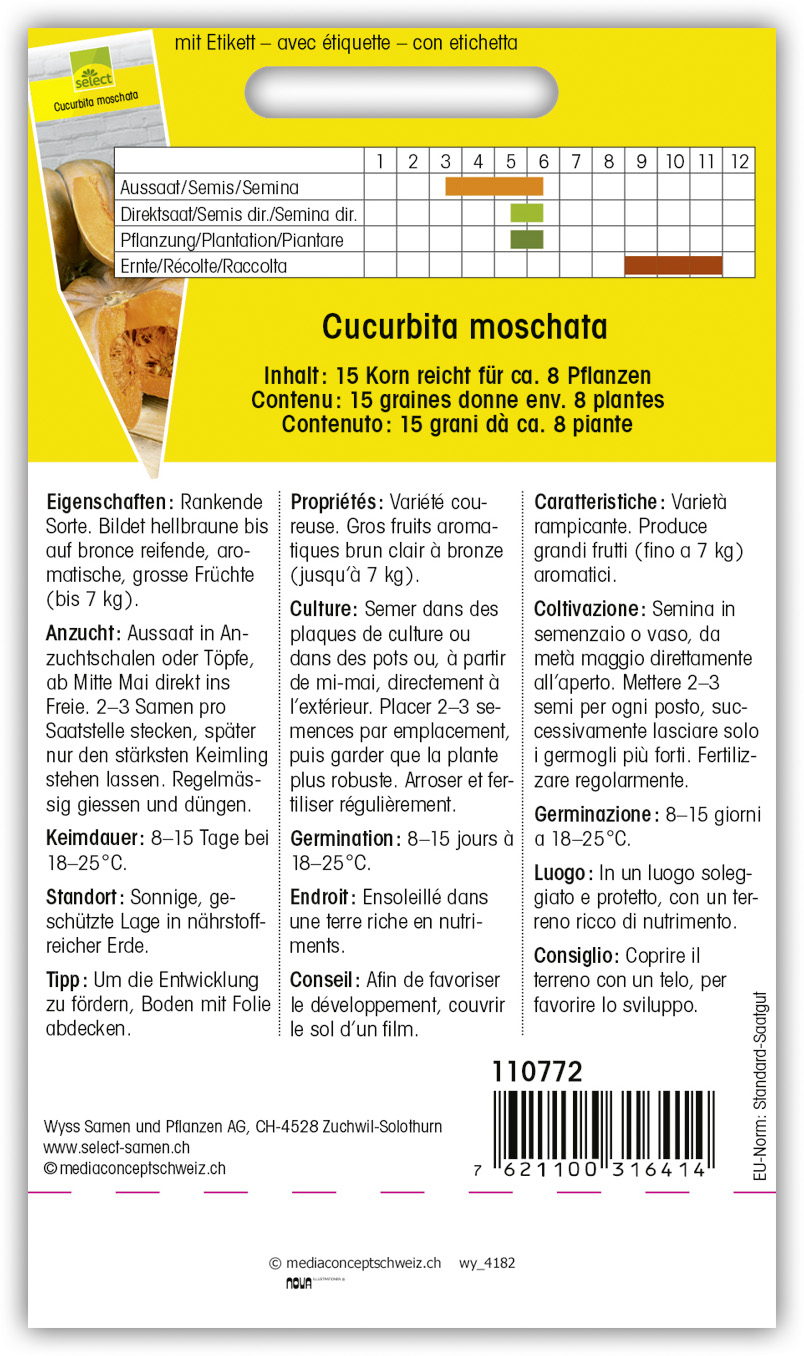 wy_4182_RS Kürbis 'Musquée de Provence' – Bild 1