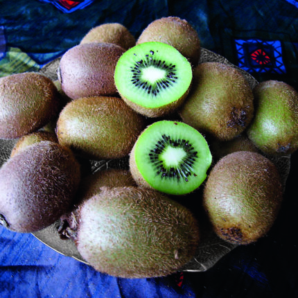 Kiwi SOLISSIMO® renact selbstfruchtbar – bewährte Sorte für den Hausgarten