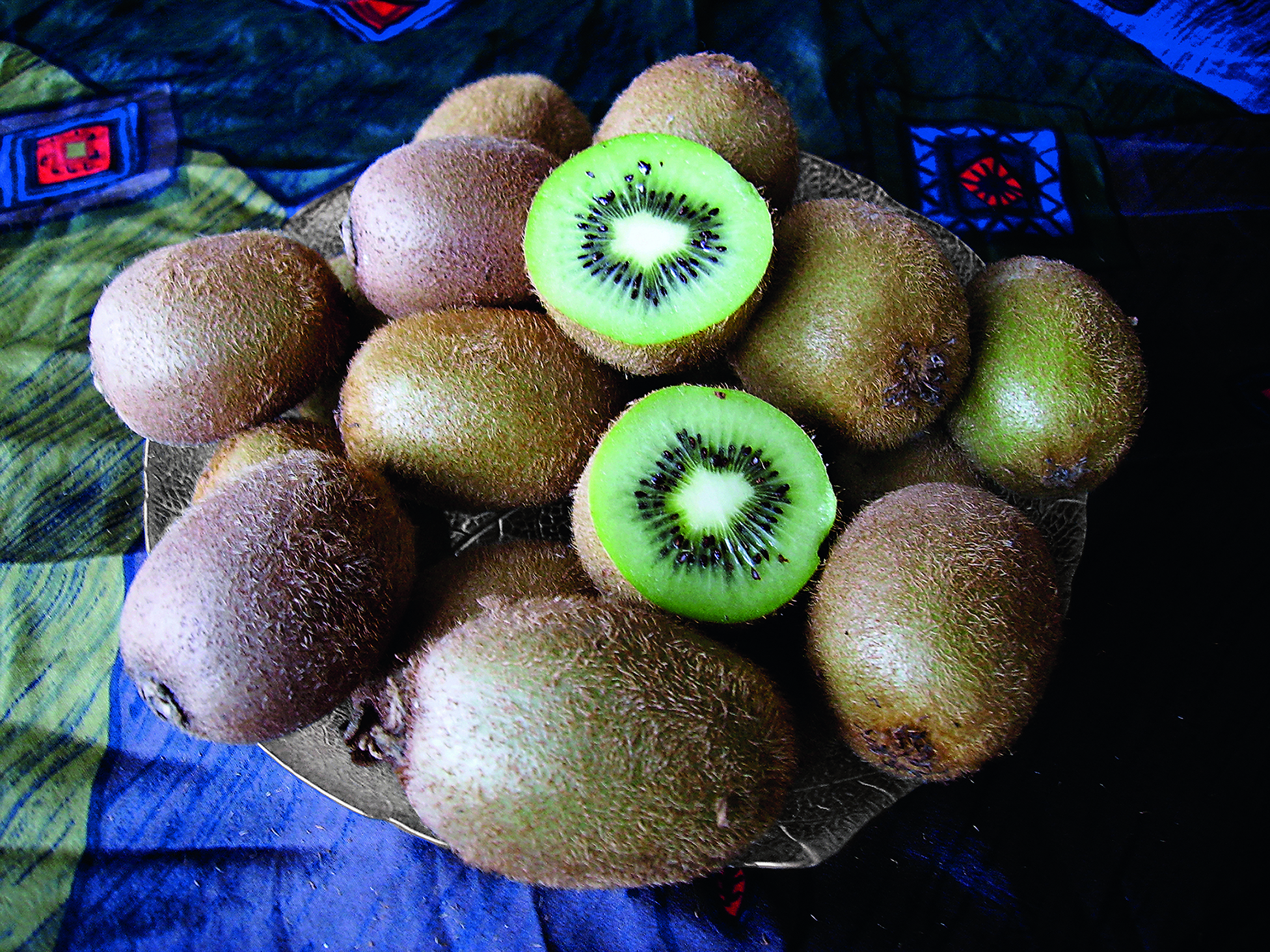 DIGITAL CAMERA Kiwi SOLISSIMO® renact selbstfruchtbar – bewährte Sorte für den Hausgarten – Bild 1